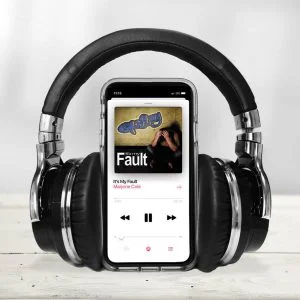 Its-My-Fault-MP3.jpg