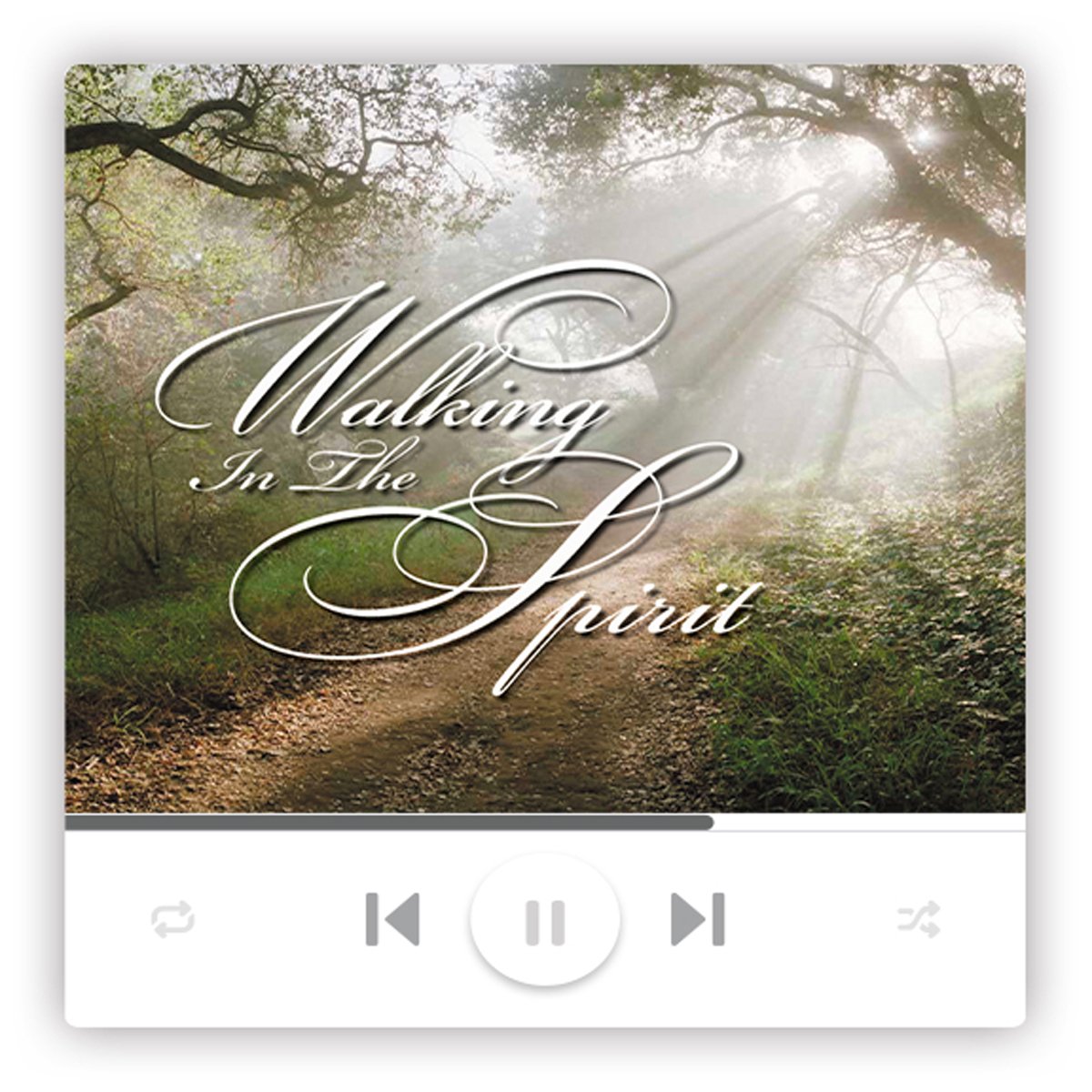 Walking in the Spirit (MP3-Audio Download) 3 Walking in the Spirit (MP3-Audio Download) - Image 3
